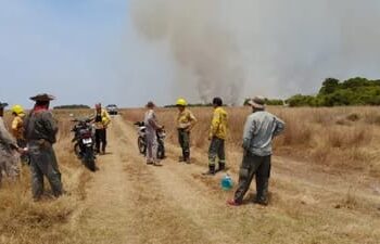 Fue apagado el foco de incendio en Yala de Monte Carmelo