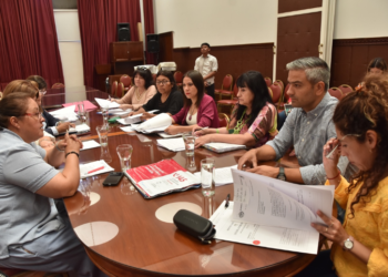 La Comisión de Igualdad de Género recibió a la delegada del Comité Ejecutivo de Lucha contra la Trats de personas