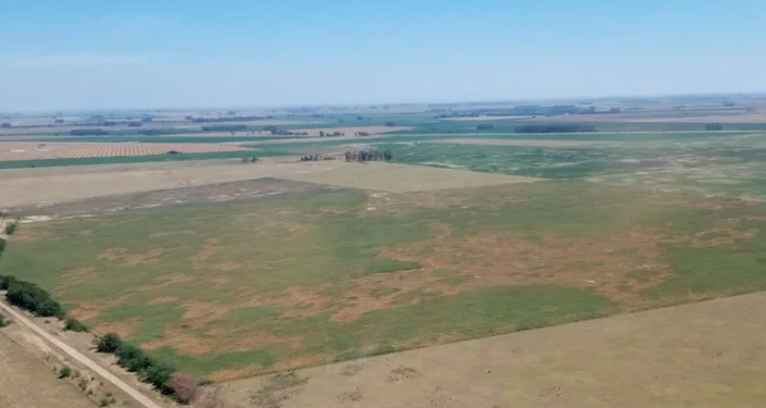 Sequía histórica: se agrava el retraso en la siembra de soja y maíz, los dos cultivos que más divisas aportan al país