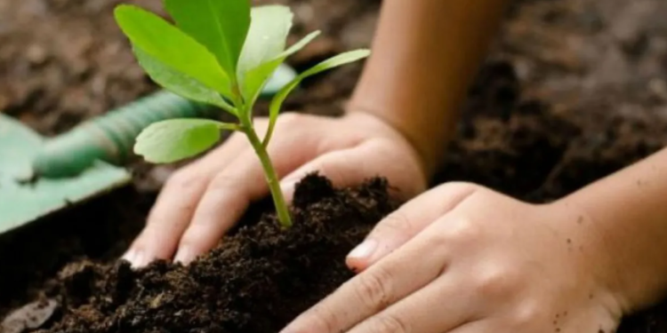 Quintar: “Los suelos, origen de los alimentos”