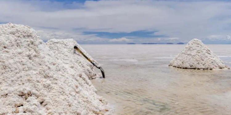 Litio: los planes del Gobierno para conseguir más dólares y una discusión clave
