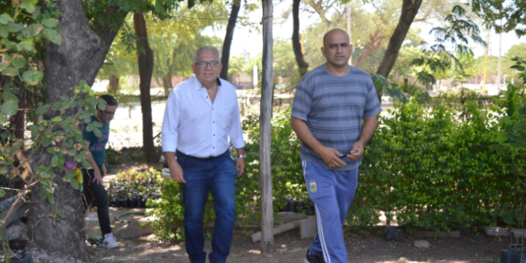 Mantenimiento en espacios públicos de San Pedro