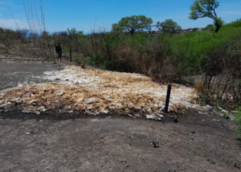 Máxima sanción económica a avícola que arrojó pollos en Alto Comedero