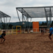 Convocatoria para práctica deportiva en arena