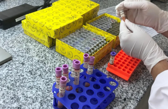 Enviaron muestras de tejido animales nativos para la conservación genética