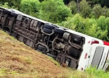 Una turista argentina y su hijo de 3 años murieron luego de que su micro volcara en una ruta de Florianópolis