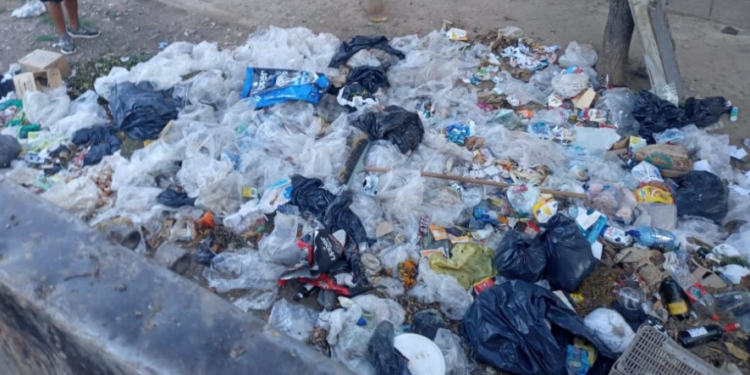 Se desarmó un nuevo microbasural en San Pedro