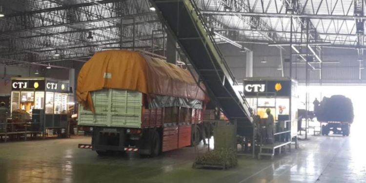 Cooperativa de Tabacaleros ajusta el precio de acopio con un incremento del 50% sujeto a reajuste