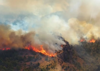Las impactantes imágenes del incendio que afecta al Parque Nacional Los Alerces