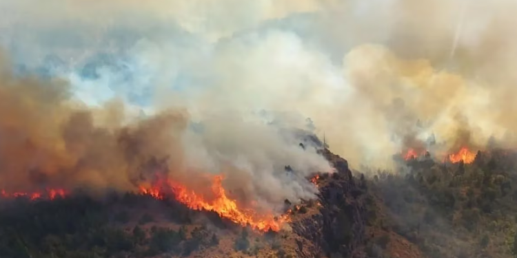 Las impactantes imágenes del incendio que afecta al Parque Nacional Los Alerces