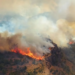 Las impactantes imágenes del incendio que afecta al Parque Nacional Los Alerces