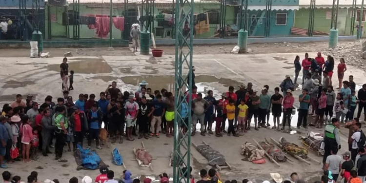 Perú: al menos 40 muertos y decenas de heridos por varios aludes en Arequipa