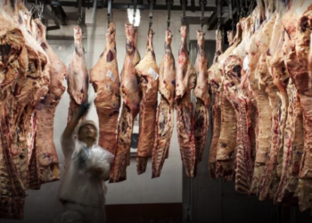 La carne le sube la vara a la inflación: cuánto puede aumentar en el primer trimestre