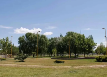 Crece el misterio en Río Negro por una colección de juguetes sexuales abandonados en una plaza