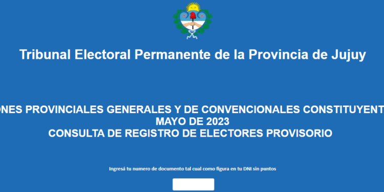 El Registro de Electores Provisorio estará disponible hasta el 22 de febrero