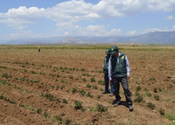 La sequía ya golpea duro en la economía: cayeron la recaudación y las exportaciones