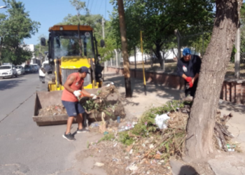Arduo trabajo de servicios públicos para mantener limpia la ciudad