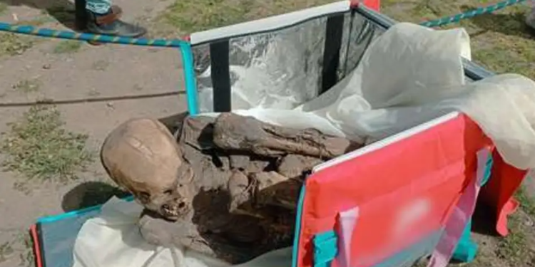 Encuentran una momia de 800 años en la mochila de un repartidor de pedidos en Perú