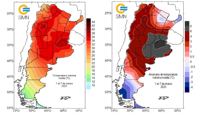 Ola de calor y deshidratación: cuáles son los síntomas y consecuencias de tomar poca agua
