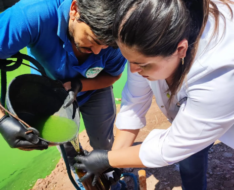 Dique Los Alisos: se analizan muestras por coloración del agua