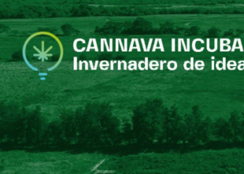 Amplia participación en el concurso Cannava Incuba