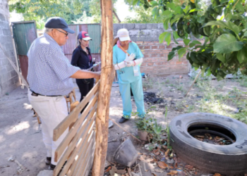 Dengue: desde la temporada, San Pedro registró 180