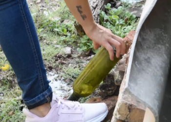 Un total de 16 personas permanecen en internación por dengue