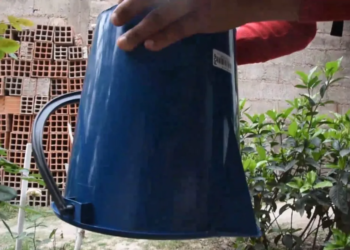 Dengue: 1459 casos confirmados desde el inicio de la temporada, 331 nuevos casos y una persona fallecida