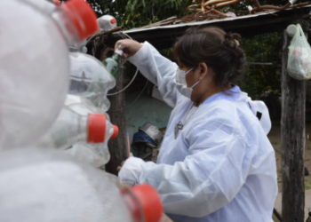 Se confirmó un fallecimiento por dengue