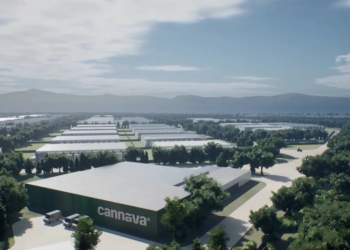 Jujuy lanza un sistema inédito de franquicias biotecnológicas para la producción privada de cannabis medicinal de grado farmacéutico