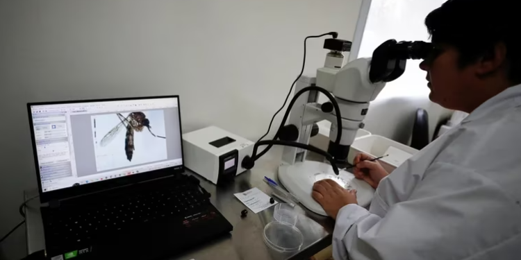 Brote histórico de dengue: 42 muertos por la enfermedad y los casos siguen en aumento