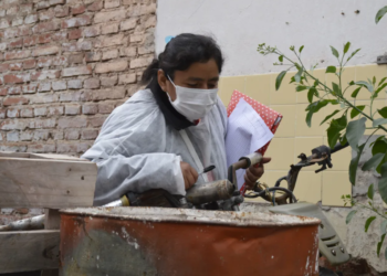 La provincia suma 3118 casos de dengue