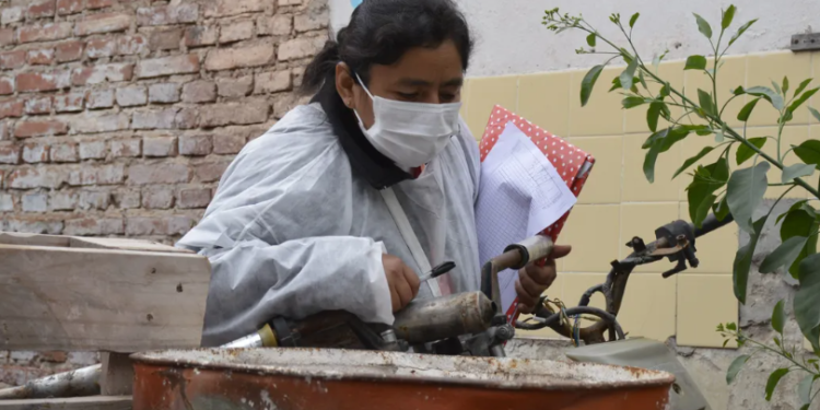 La provincia suma 3118 casos de dengue
