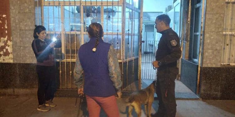 Jarma: “La fiscalía actúa de oficio, de manera inmediata para proteger al animal que era víctima de malos tratos”