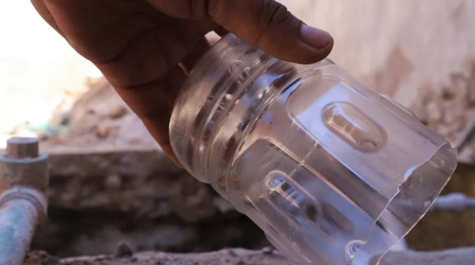 Dengue: ¿Qué tenemos que saber del mosquito Aedes Aegypti?