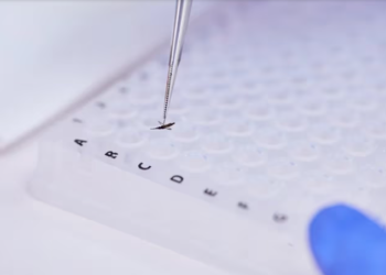 Cómo es la técnica argentina con radiación nuclear para esterilizar al mosquito del dengue