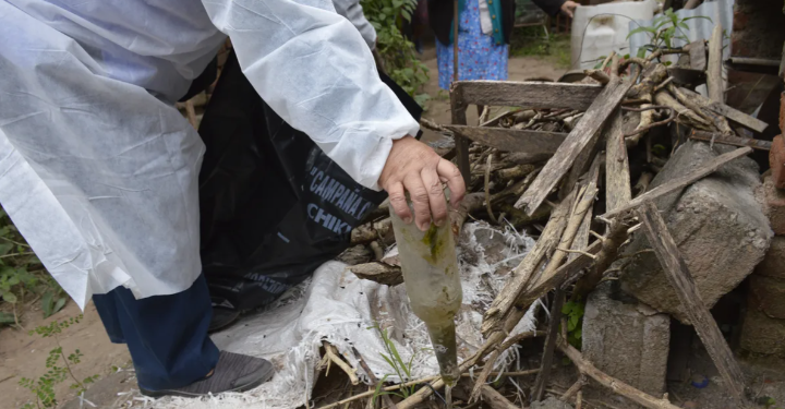 San Pedro alcanzó los 1217 casos de dengue desde el inicio del borte