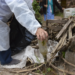 San Pedro alcanzó los 1217 casos de dengue desde el inicio del borte