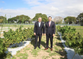Morales visitó el Centro Tecnológico de Producción de Cannabis en Corrientes