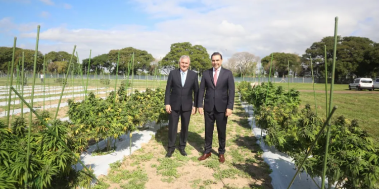 Morales visitó el Centro Tecnológico de Producción de Cannabis en Corrientes