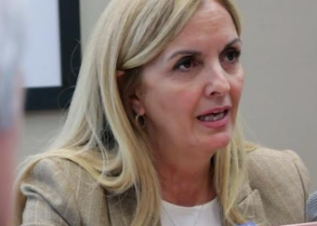 “Los hitos fundamentales de la Constitución deben ser elásticos, simples, modernos y abarcativos”