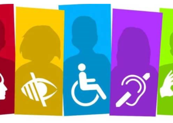 Ivacevich: “la propuesta es transversalizar el criterio y la perspectiva de la discapacidad unificando términos”