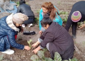 Taller de huertas agroecológicas a CAF y comedores comunitarios