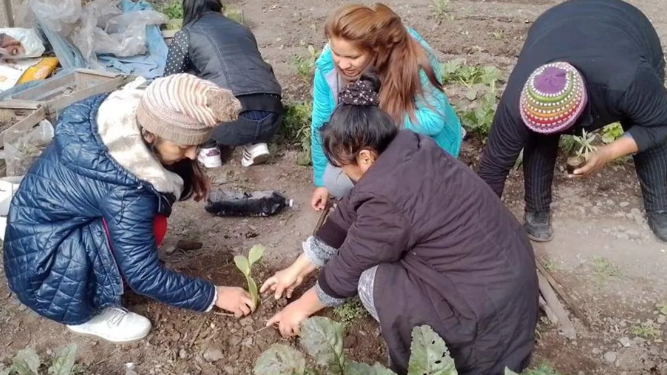 Taller de huertas agroecológicas a CAF y comedores comunitarios