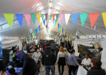 Segunda semana de vacaciones con actividades culturales a pleno