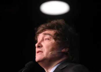 Milei reveló al Financial Times las medidas de ajuste que aplicaría si es electo presidente