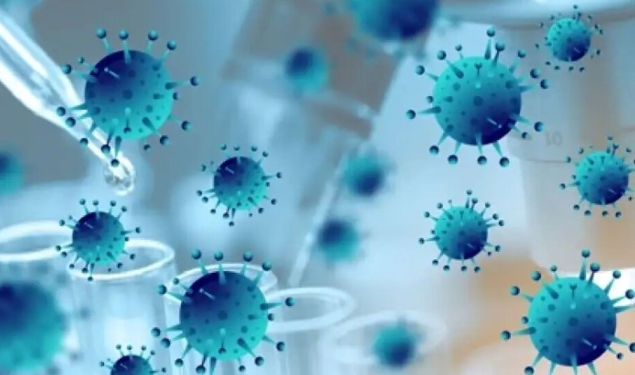 Covid en Argentina: circula una nueva cepa, ¿es más contagiosa que las anteriores?