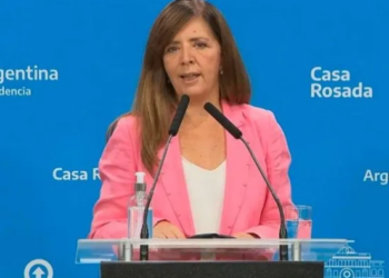 Gabriela Cerruti responsabilizó a cuentas vinculadas a Milei y Bullrich en la organización de saqueos: «Son daños muy graves para la democracia»