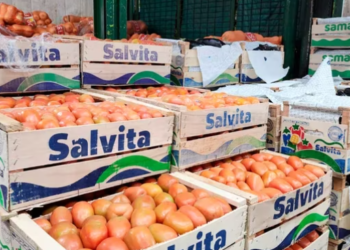 Más medidas: bajan 20% los precios de las frutas y las verduras en el Mercado Central