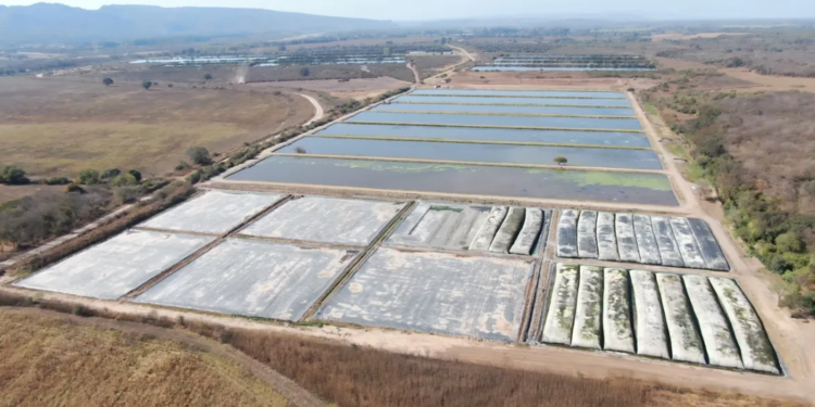 Se finalizó exitosamente la primera etapa de la histórica obra de extracción y tratamiento de lodos del complejo lagunar de El Pongo